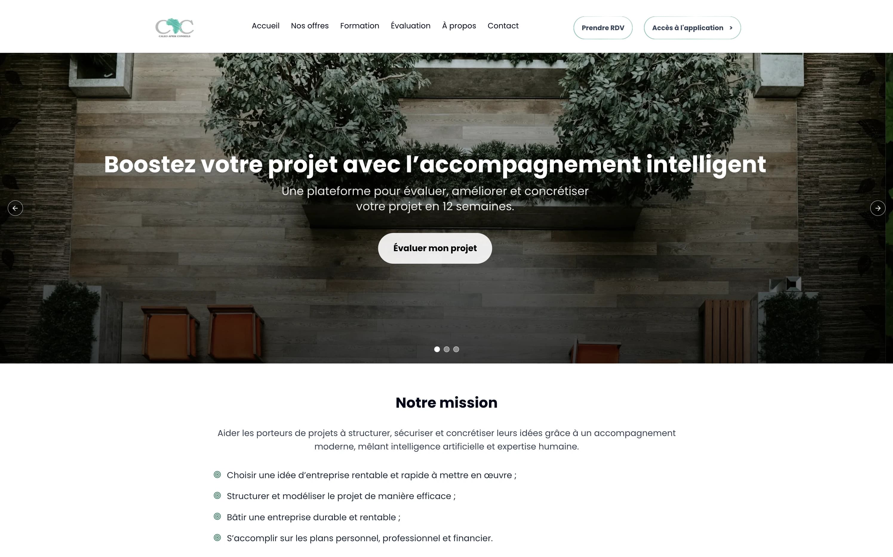 projects.sasWebsite.title